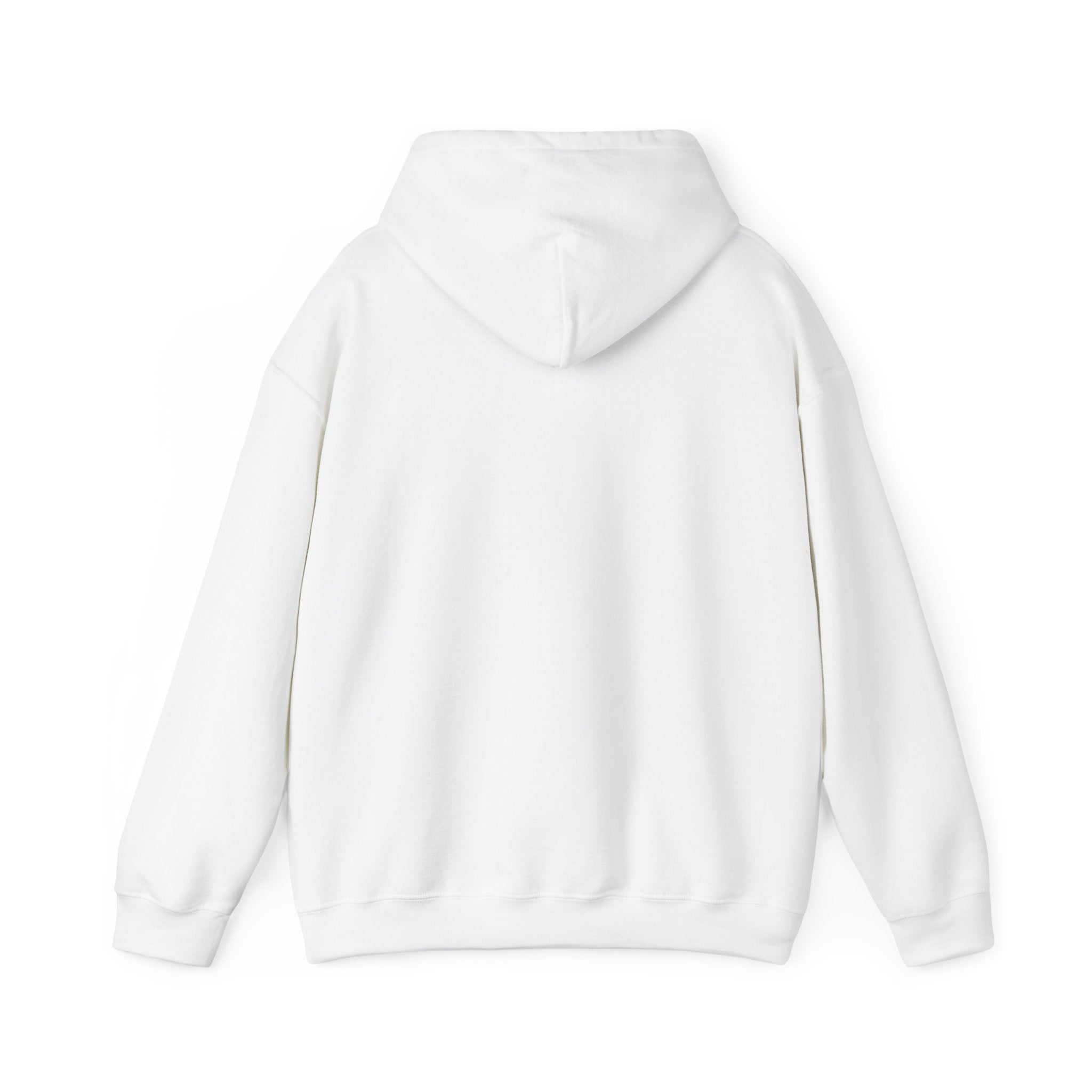 PAID IN FULL | Unisex Heavy Blend Hoodie